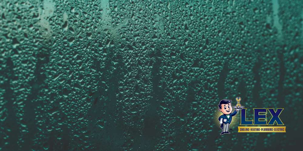 dehumidifier installation Tyler TX