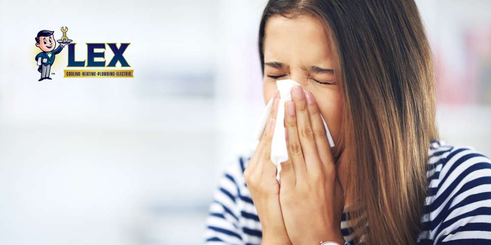 home humidifier tyler tx