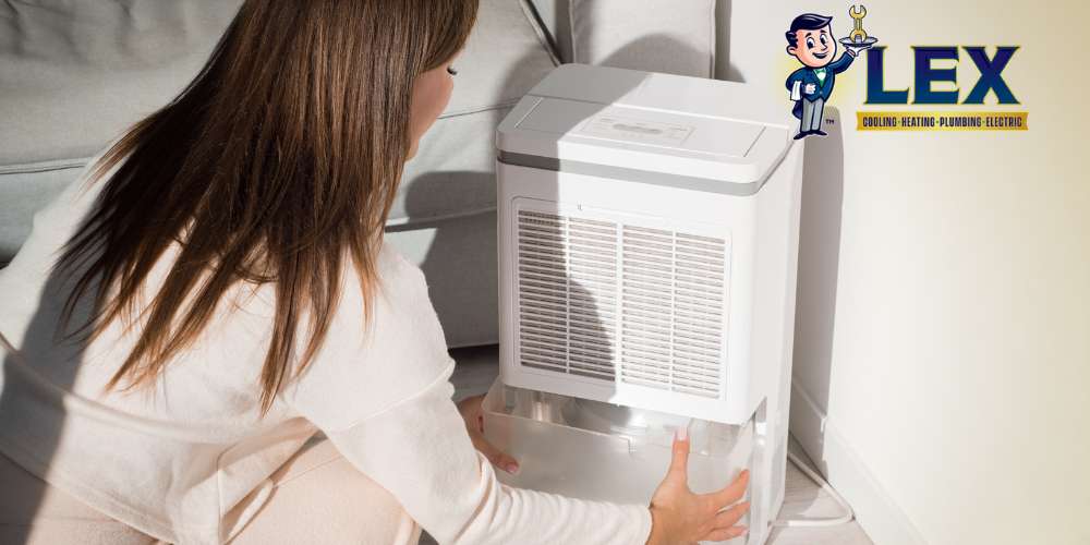 tyler Dehumidifier Installation