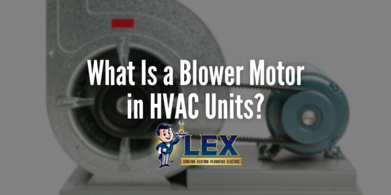 What Is a Blower Motor in HVAC Units