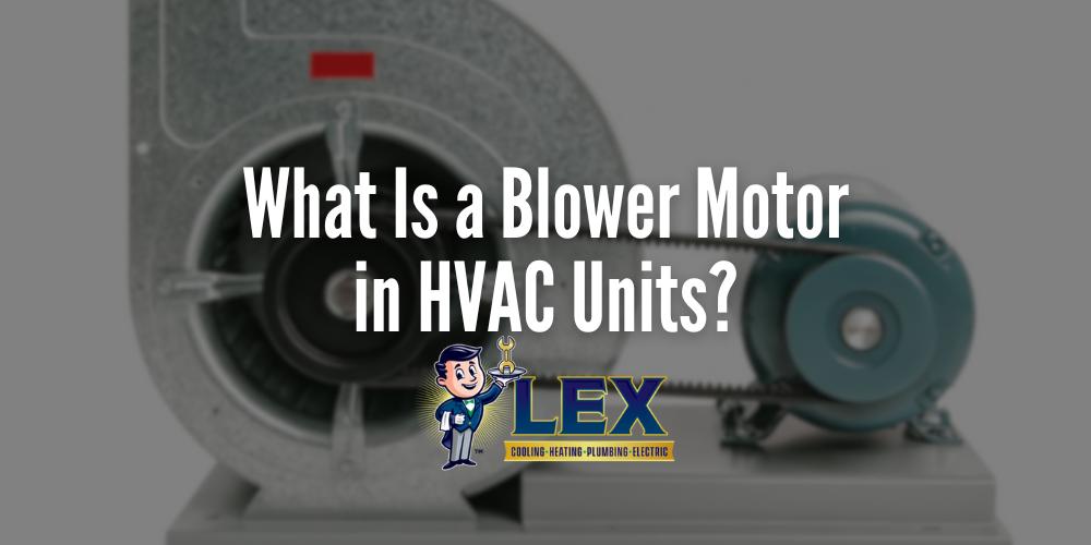 What Is a Blower Motor in HVAC Units