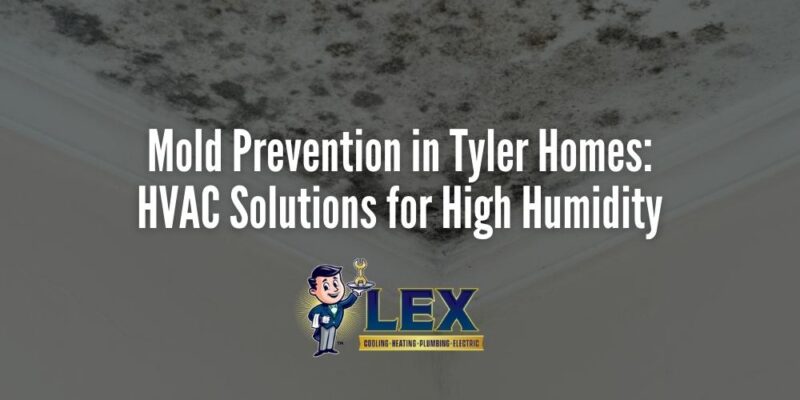 Mold Prevention in Tyler Homes_ HVAC Solutions for High Humidity