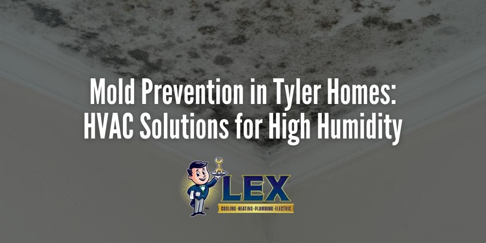 Mold Prevention in Tyler Homes_ HVAC Solutions for High Humidity