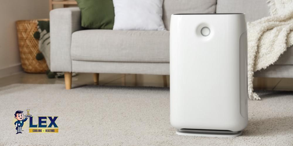 In-Duct & Whole-House Air Purifier Tyler TX