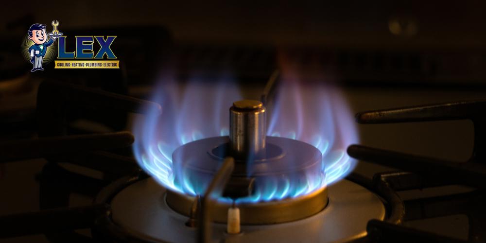 gas leak inspection tyler tx